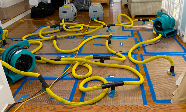 Professional Basement Flood Cleanup technician working in Spotswood, NJ